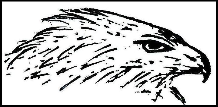 Scan_1.jpg